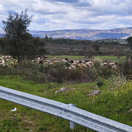 A Casa Dos Avos