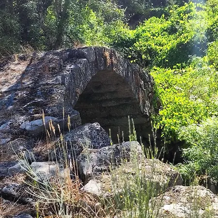 Daire A Casa Dos Avos Cativelos