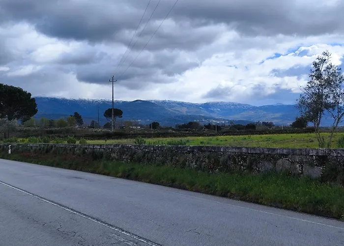 Daire A Casa Dos Avos *