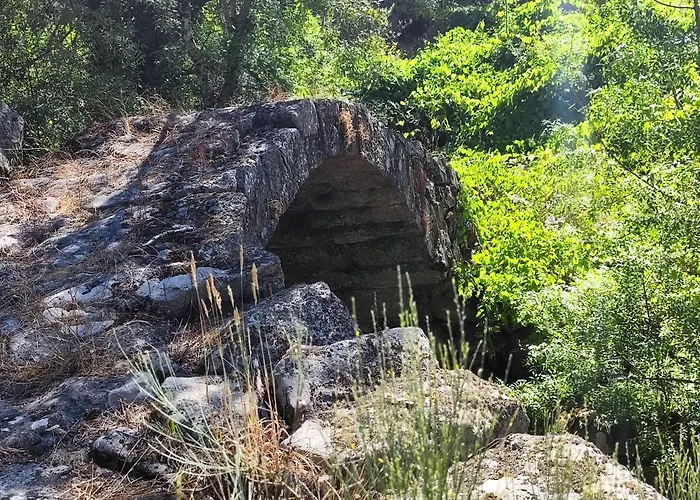 Daire A Casa Dos Avos Cativelos