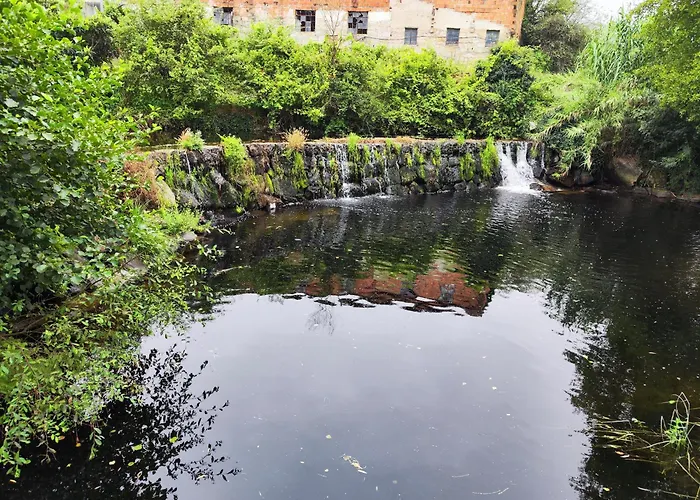 Daire A Casa Dos Avos